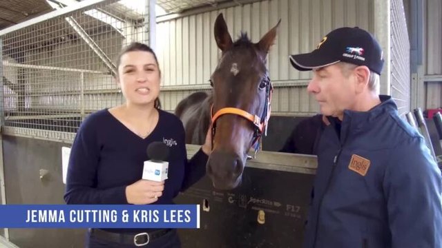 2019 Inglis Everest Announcement