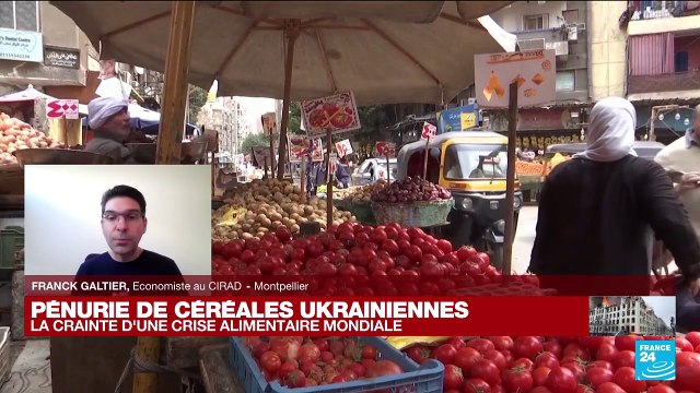 Pénurie de céréales ukrainiennes : la crainte d'une crise alimentaire mondiale ?
