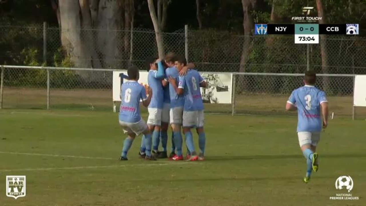 Ferguson scores