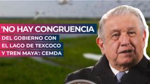 'No hay congruencia del gobierno con el Lago de Texcoco y Tren Maya': CEMDA
