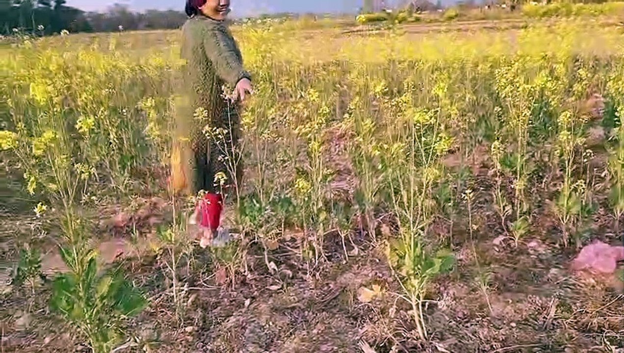 Nepali Village Lifestyle _ Small Tour With Nepali Silai Bunai  _ Dang Ghorahi _ _Full-HD_60fps