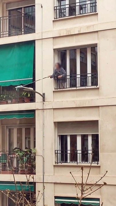 Woman Scrubs Lamppost from Her Apartment Window