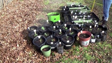 12-29-21.  The Sun Rays Are On Me, As Long As I Am Outside, I Feel Good