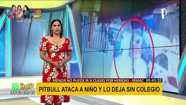 Rímac: multan a dueña de pitbull que atacó a niño y lo dejó malherido