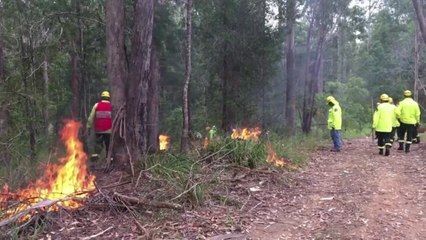 Cultural burn - Port Macquarie-Hastings