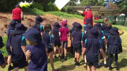Rotary and Westport Public School bush tucker garden project