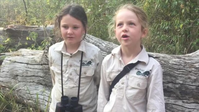 Nature School Primary joins Aussie Backyard Bird Count