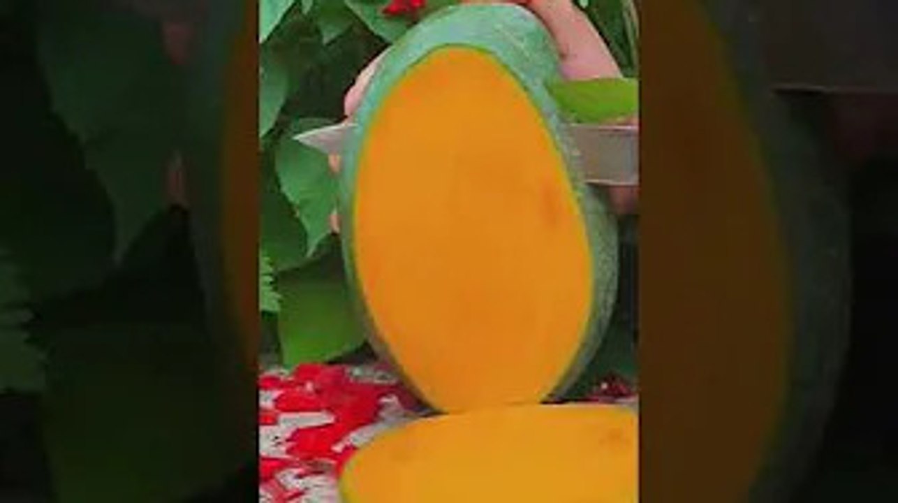 fruit