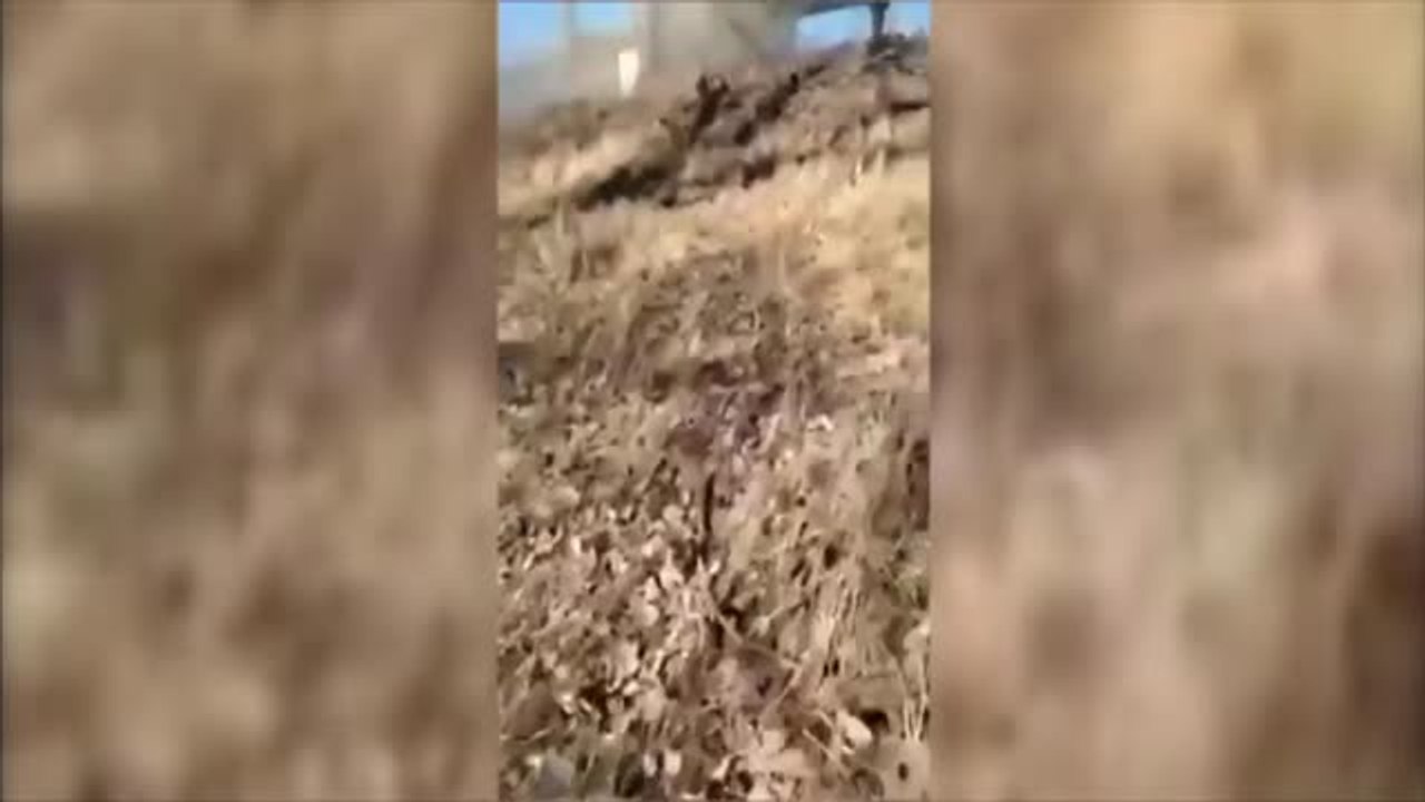 Ucrania lanza una ofensiva al norte de Kiev para recuperar zonas ocupadas por los rusos
