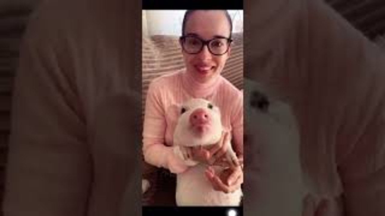 Little Piggy Loves Strawberries