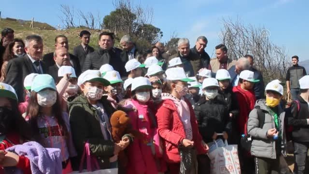 Son dakika haberleri | Ödemiş'te yangında zarar gören alana fidan dikildi