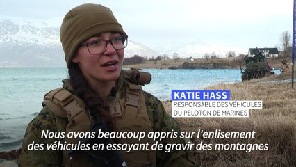 Arctique : des soldats de l'Otan manœuvrent par grand froid