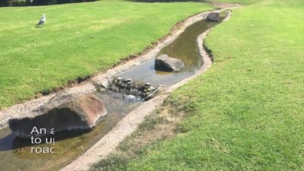 Warrnambool Standard: Lake Pertobe Funding