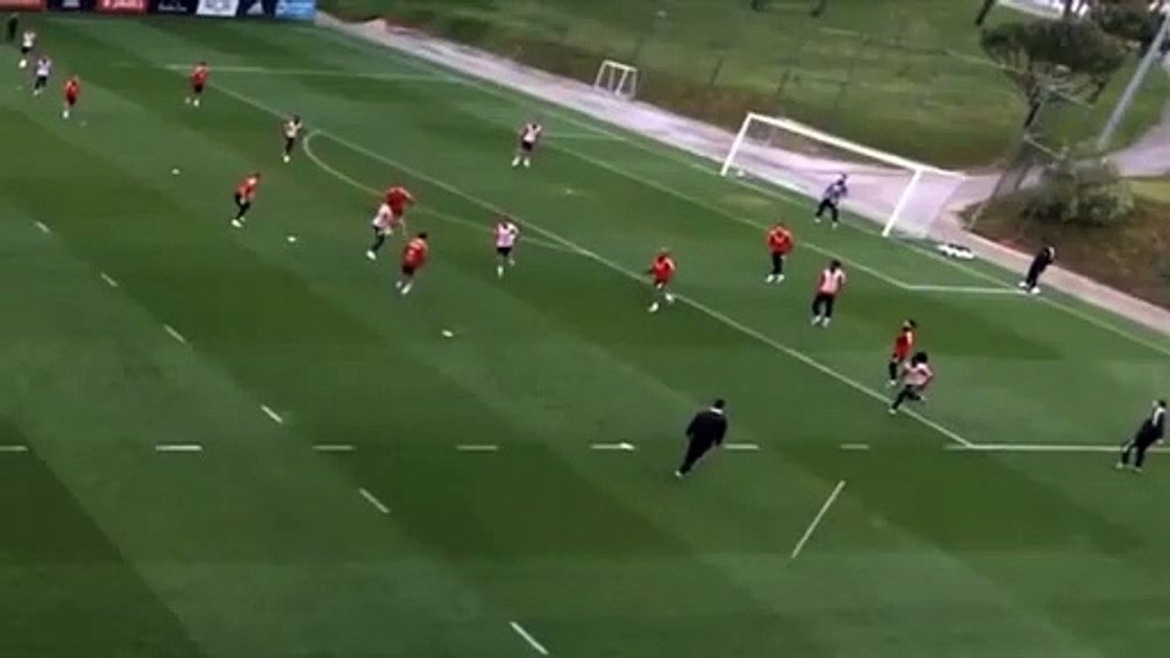 Jan Vertonghen