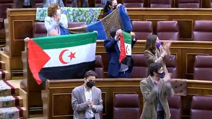 Diputados de Podemos sacan banderas del Sáhara para protestar contra su propio Gobierno