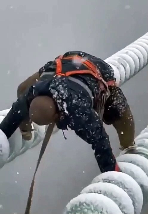 Probablement l'un des pires jobs au monde !