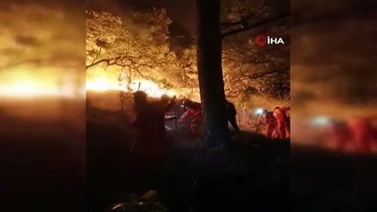 Meksika'da uyuşturucu bağımlısı ormanlık alanı ateşe verdi