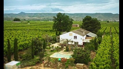 Alcarràs - Tráiler oficial