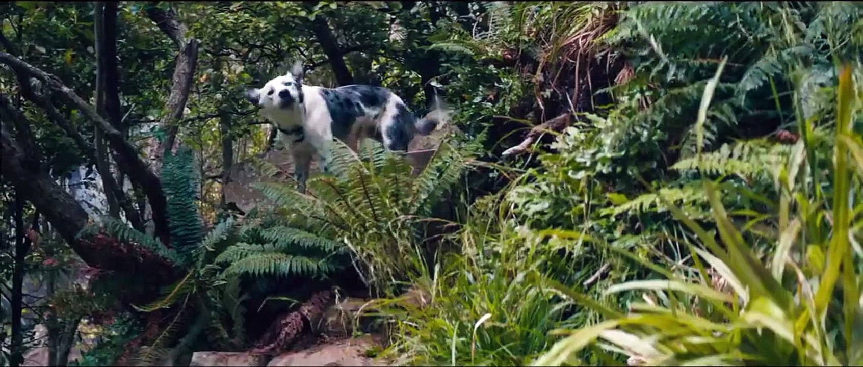 Les Survivants - Extrait (2) VO