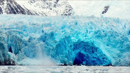 Le Bouton  de Nacre - VOST