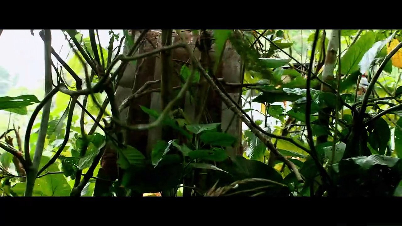 The Green Inferno - VOST