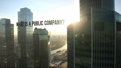 Understanding Public Companies