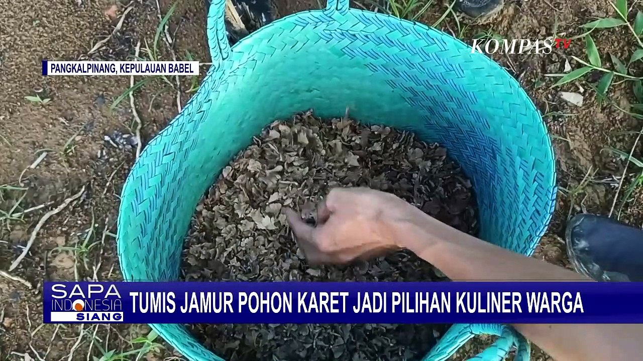 Kuliner yang Harus Kamu Coba, Inilah Tumis Kulat Kukur Khas Kepulauan Bangka Belitung!