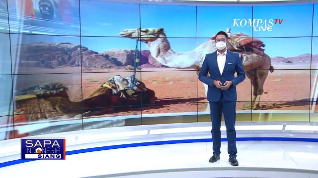 Layanan Klinik Keliling di Kenya, Gunakan Unta untuk Angkut Alat Medis dan Obat ke Pelosok