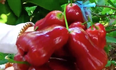 เรื่องพลบค่ำ ช่วงที่ 1 วันอังคารที่ 29 มีนาคม 2565