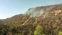 हैलीकॉप्टर से भी नहीं बुझ पा रही सरिस्का की आग, जंगल में 20 किलोमीटर तक फैली, अन्य जिलों से स्टाफ बुलाया