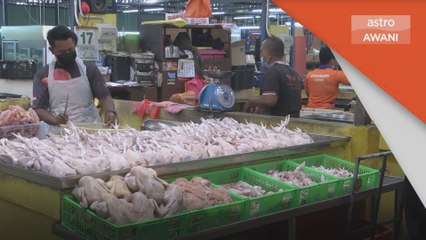 Harga Ayam Mahal | CAP saran pengguna kurangkan makan ayam
