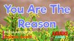 You Are The Reason - Calum Scott | Karaoke Version |HD