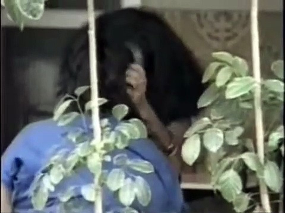 Documento Especial - Muito feminina