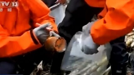 Kotak Hitam Pesawat China Eastern Ditemukan