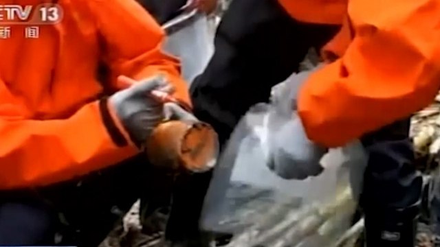 Kotak Hitam Pesawat China Eastern Ditemukan