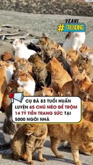 Cụ bà 83 tuổi huấn luyện 65 chú mèo để trộm 14 tỷ tiền trang sức tại 5000 ngôi nhà