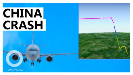 China Plane Crash: China Eastern Airlines MU5735 Plane Crash Animation