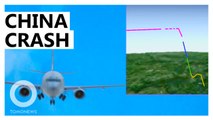 China Plane Crash: China Eastern Airlines MU5735 Plane Crash Animation