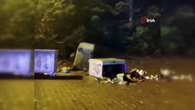 Uludağ'da aç kalan ayı oteller bölgesine indi, 5 kişiyi kovaladı: O anlar kamerada