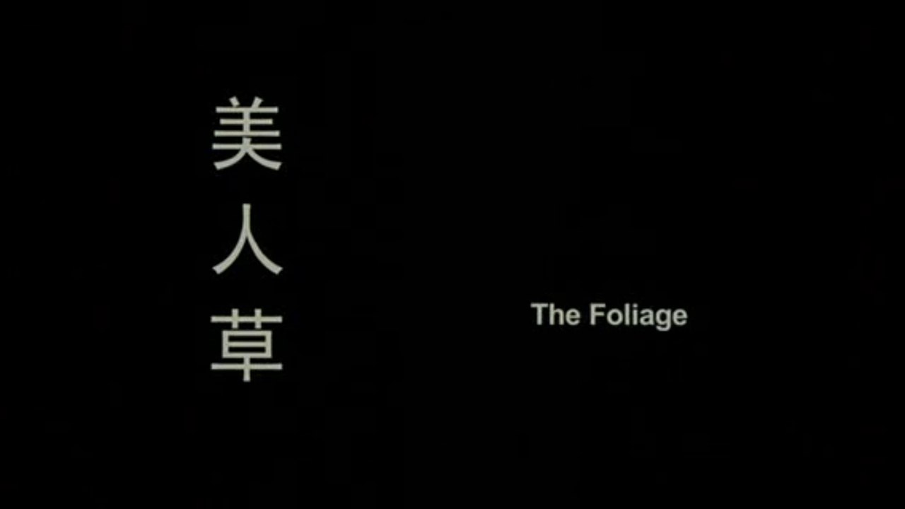 THE FOLIAGE (2004) Teaser VO - CHINA
