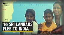 'Sri Lanka Isn't the Same Anymore': Tamil Refugees Flee the Country's Worst Economic Crisis