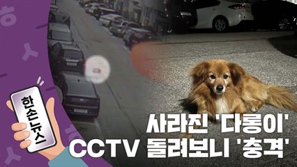 [한손뉴스] 지나가던 주민 놀라서 '멈칫' 눈앞에 떨어진 물체는... / YTN