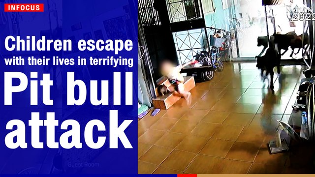 Children escape with their lives in terrifying pit bull attack | The Nation Thailand