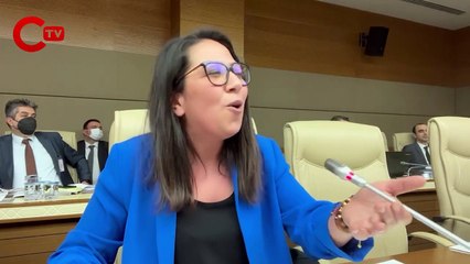 TBMM Komisyonu'nda gece yarısı kavga çıktı: Sera Kadıgil, Erdoğan'ın 'ananı da al git' sözünü hatırlatınca AKP'liler çileden çıktı