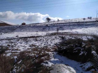 Başkent'te protokol yolunda bir erkek cesedi bulundu
