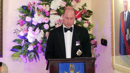 Prince William expresses 'profound sorrow' for slavery in speech in Jamaica