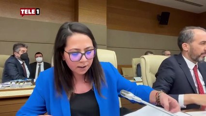 Sera Kadıgil kendisine "edepsiz" diyen AKP'li Bilen'e ateş püskürdü