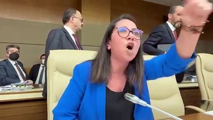 AKP'li İsmail Bilen ile TİP'li Sera Kadıgil arasında 'edepsiz' tartışması: "Haddini bil, benimle böyle konuşamazsın"