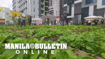 Visitors enjoy the urban farm in Bonifacio Global City