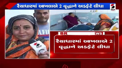 રૈયાધારમાં આખલાએ 2 વૃદ્ધાને અડફેટે લીધા